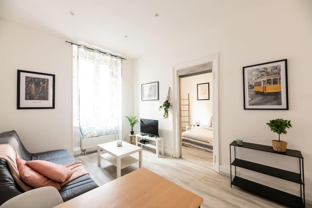 Appartement Entierement Renove Et Cosy Avec Jardin Мюлуз Екстер'єр фото